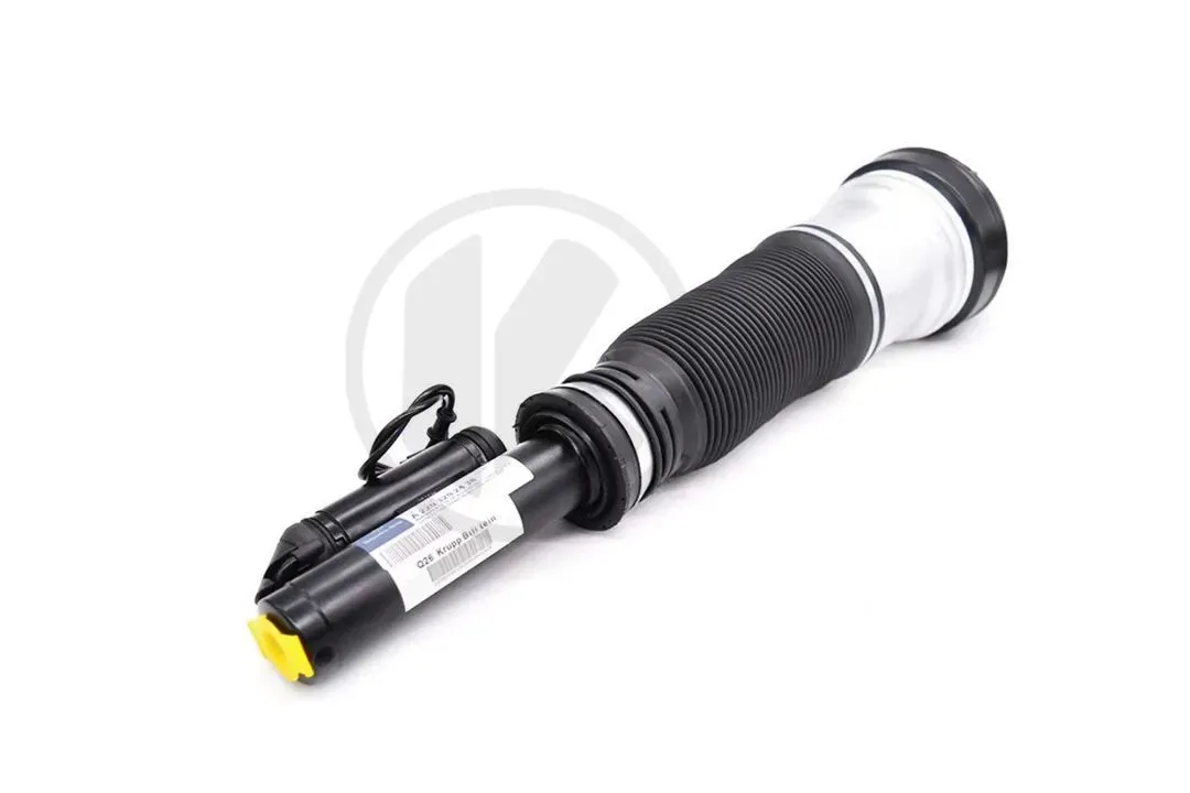 AIR SUSPENSION STRUT - Repl. 2213204913